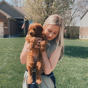 Meet your Posher, Bailey